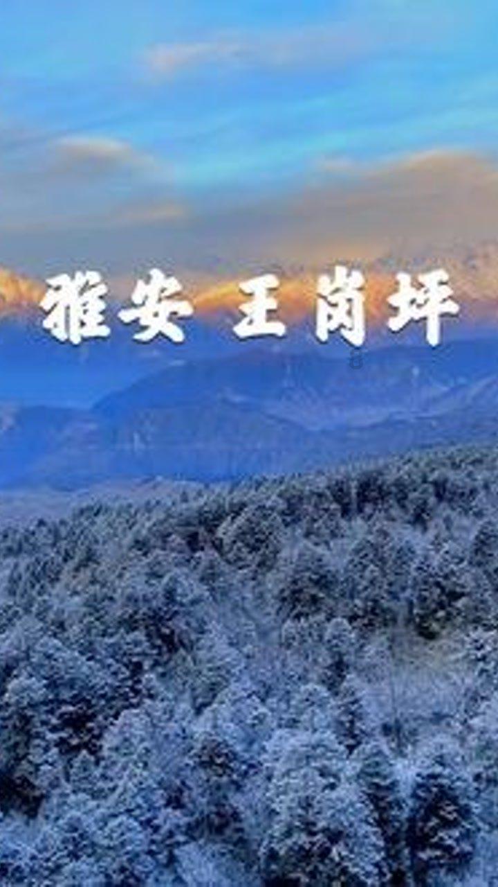 寂静岭5：归乡